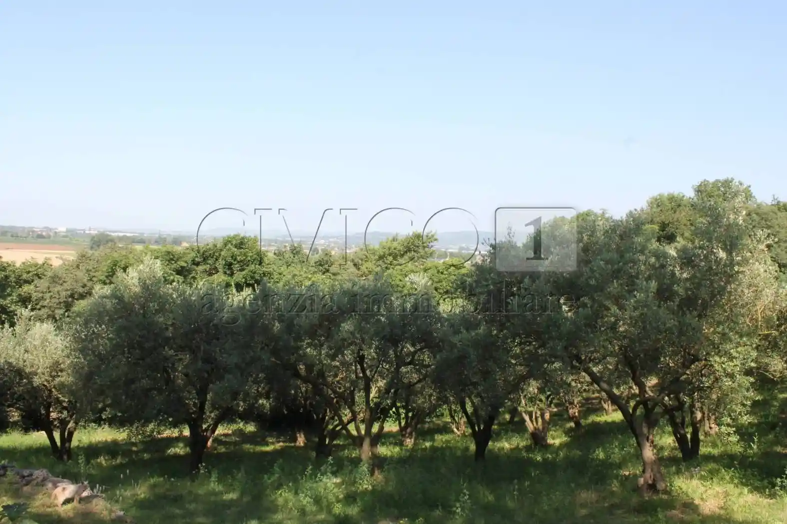 Villa unifamiliare, da ristrutturare, 273 m², Brendola - foto 4