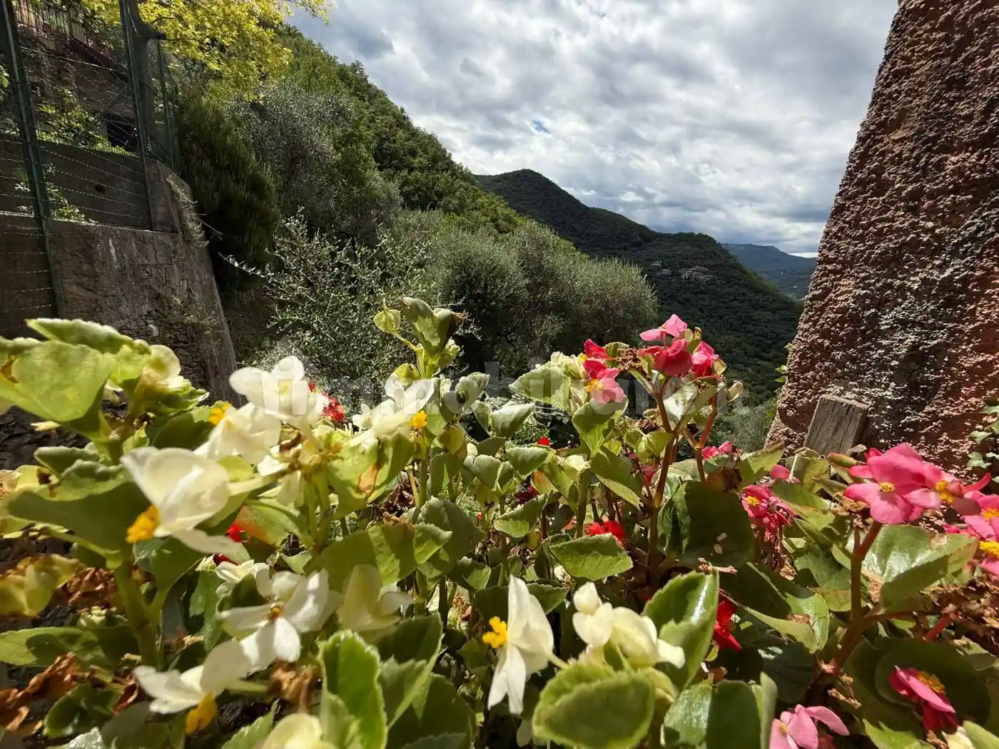 Appartamento frazione Bosco, Casanova Lerrone - foto 5