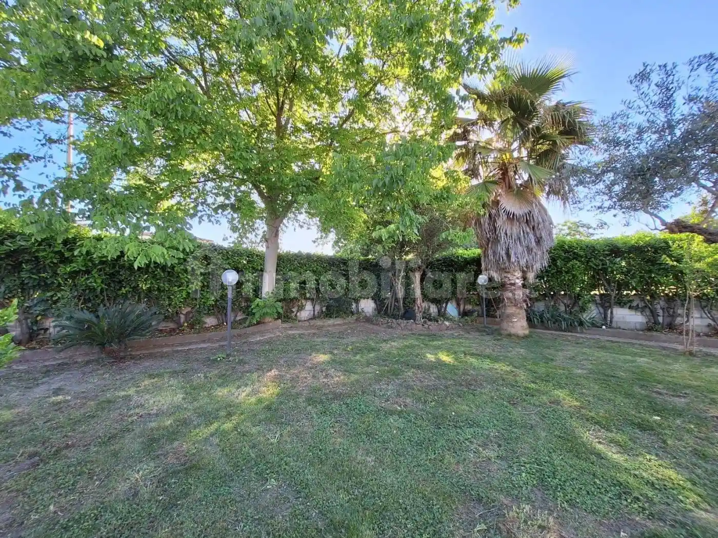 Villa unifamiliare Contrada Serretelle, San Vito, Benevento - foto 5