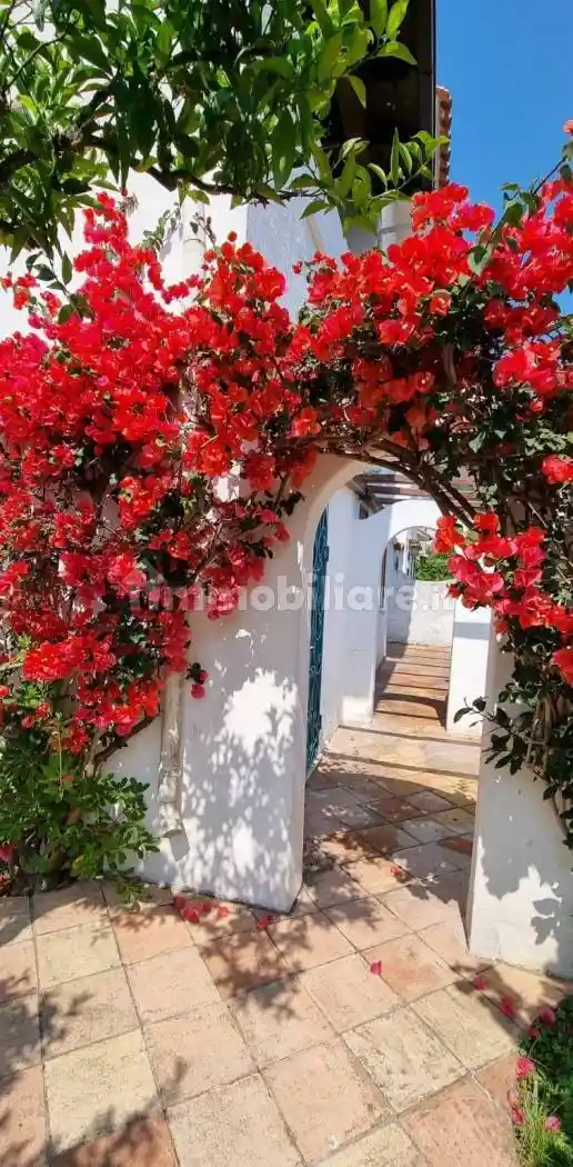 Villa in vendita a San Felice Circeo