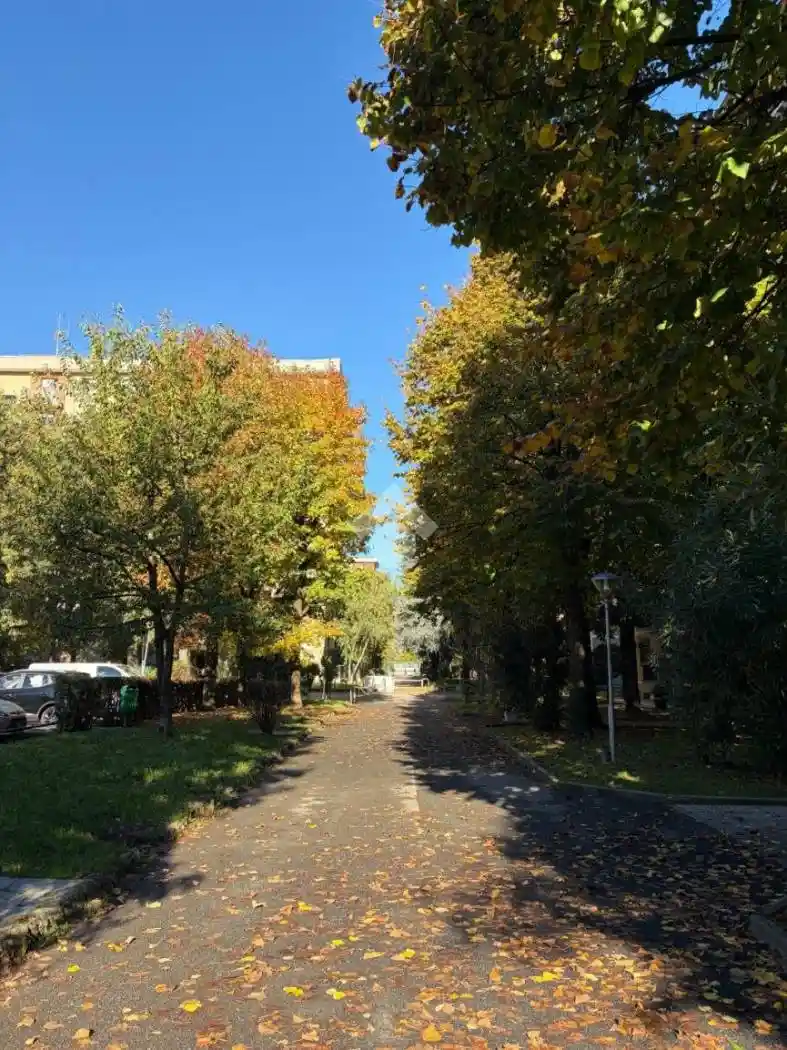 Trilocale via Appennini 35, Gallaratese, Milano - foto 4