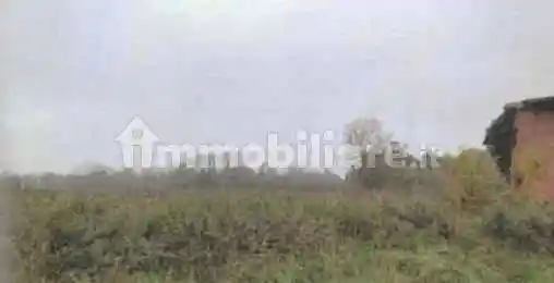 Rustico - casale all'asta via Regina, Robecchetto con Induno - foto 3
