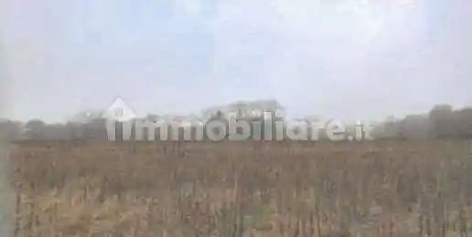 Rustico - casale all'asta via Regina, Robecchetto con Induno - foto 4