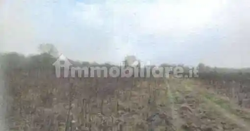 Rustico - casale all'asta via Regina, Robecchetto con Induno - foto 5