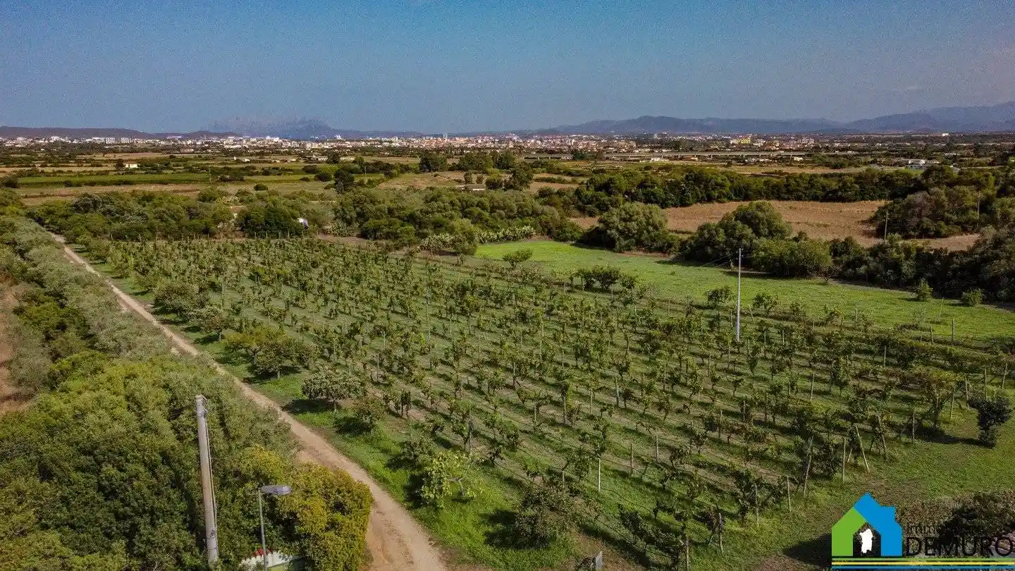 Villa unifamiliare Strada Tangenziale Ovest, Isticadeddu, Gregorio, Olbia - foto 4