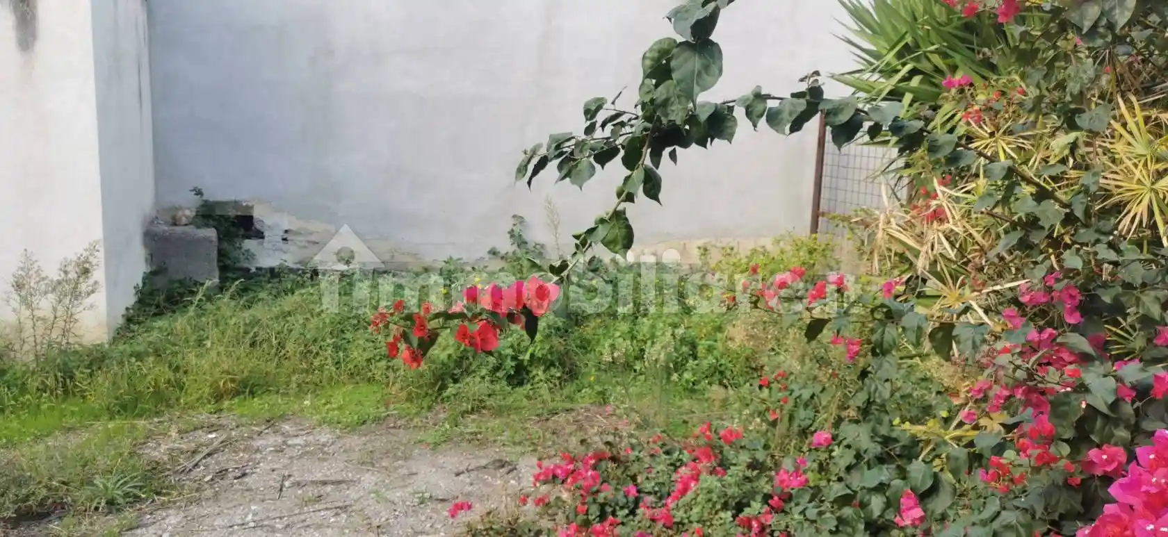 Villa a schiera via Onorevole Luigi Fulci, San Pietro, Santa Maria delle Grazie, Milazzo - foto 2