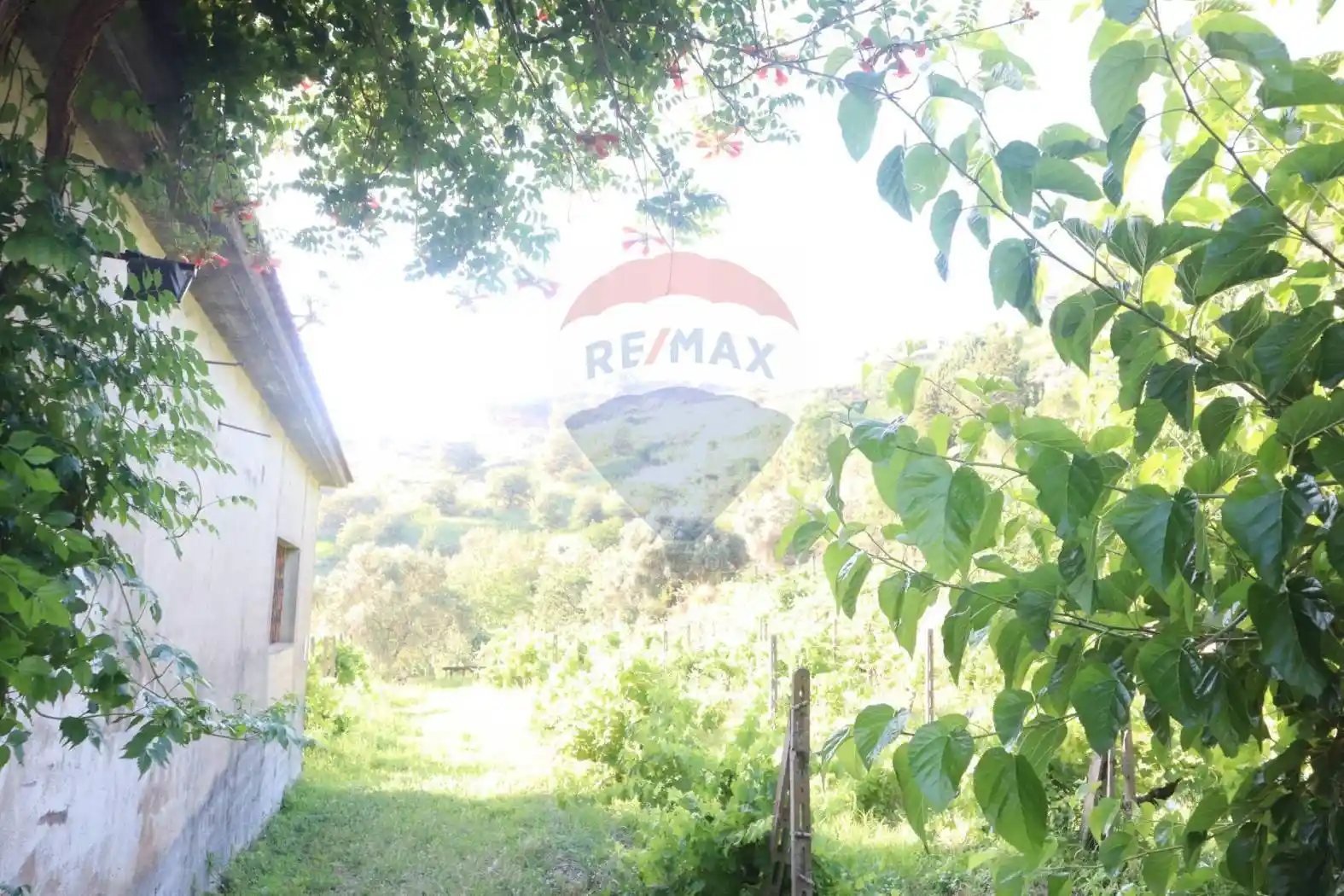 Terratetto unifamiliare contrada rausa 11, Centro, Castiglione di Sicilia - foto 3