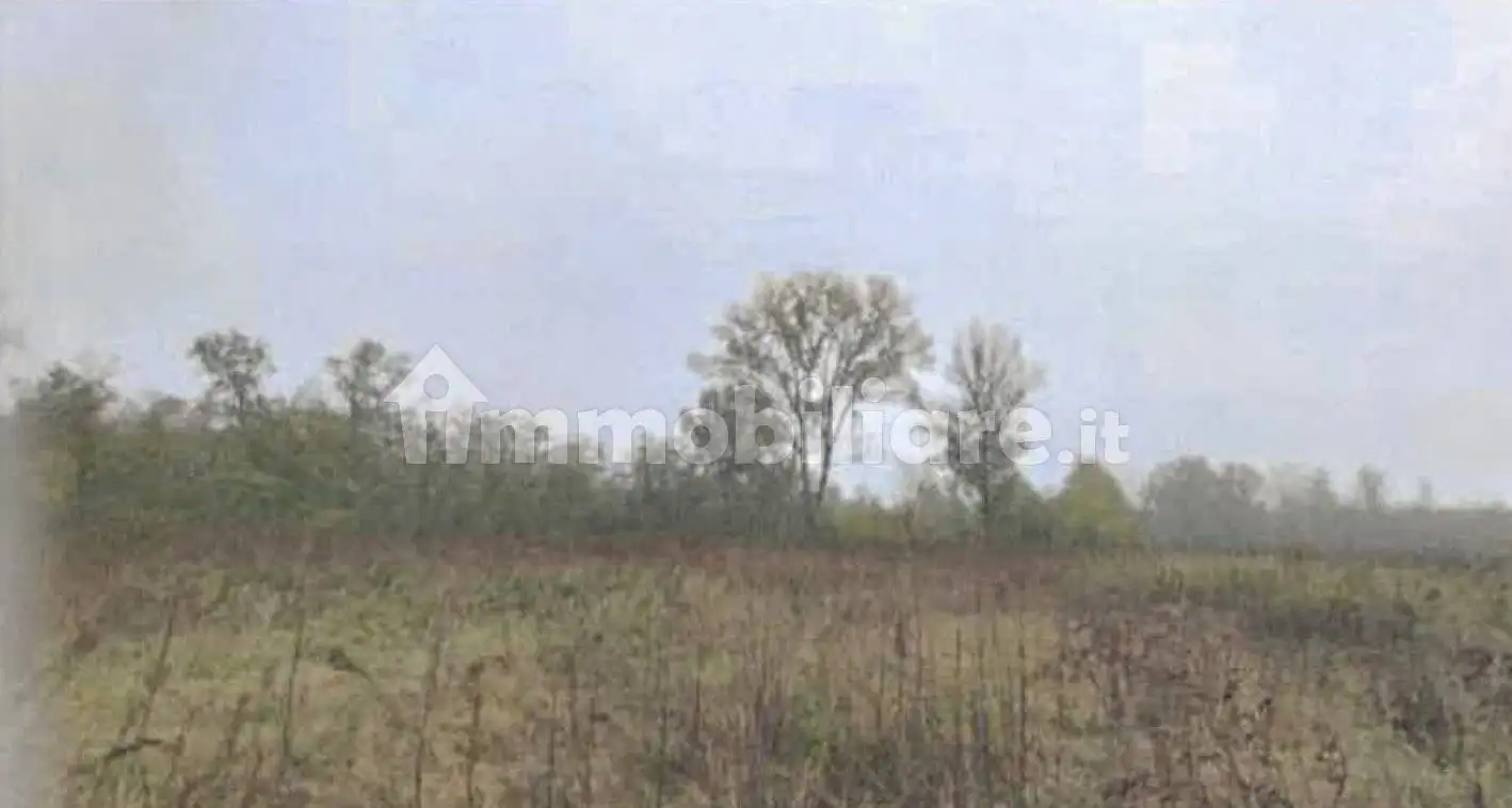 Casa indipendente in asta a Robecchetto con Induno