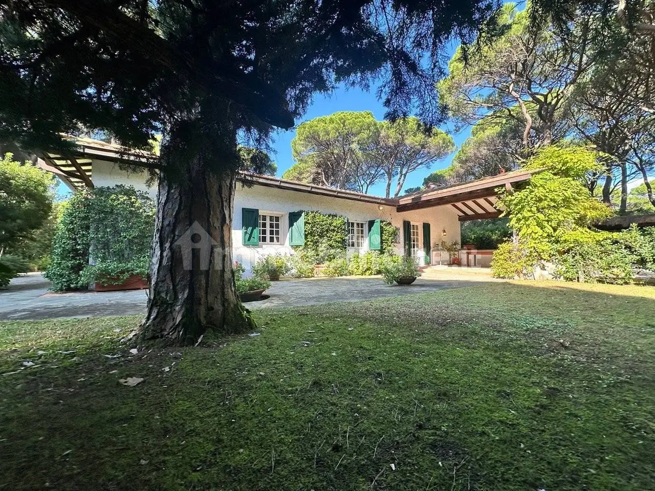 Villa in affitto a Castiglione della Pescaia