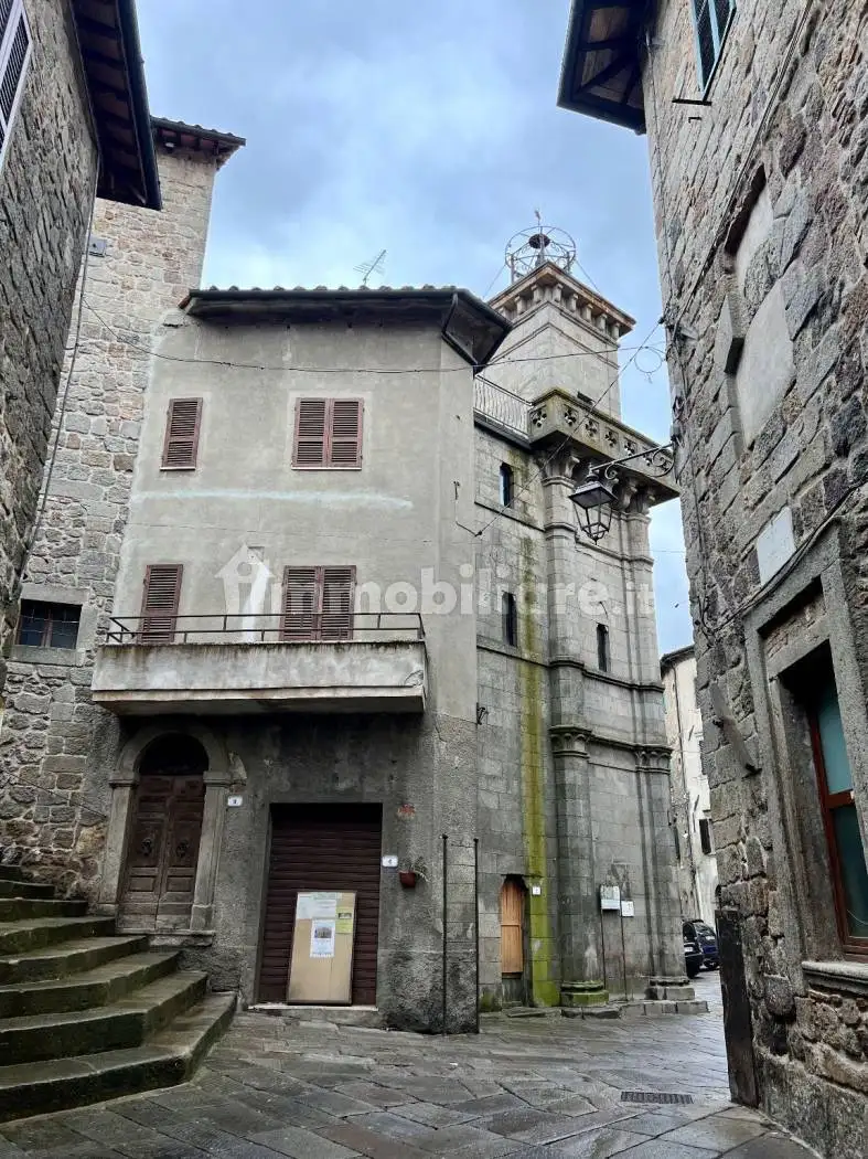 Casa indipendente in vendita a Piancastagnaio