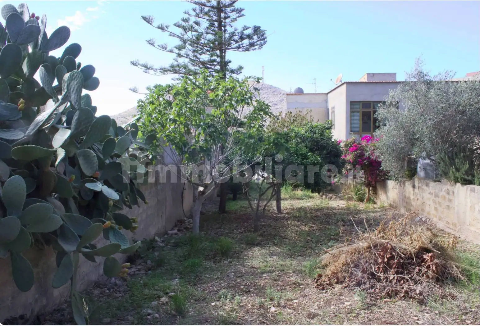 Baglio via Assieni 61, Centro, Custonaci - foto 2