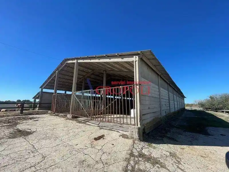 Rustico - Casale - foto 5