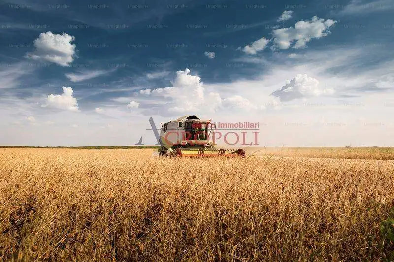 Rustico - Casale in vendita a Fiumicino