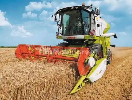 Rustico via del Casale di Sant'Angelo, Tragliata - Tragliatella, Fiumicino - foto 3