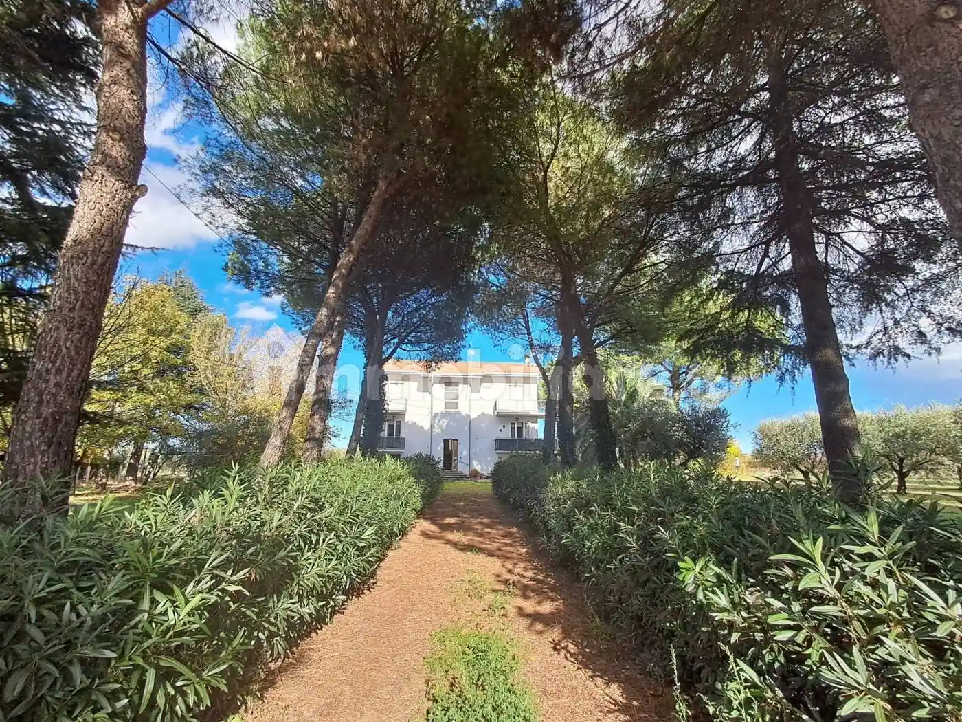 Appartamento in vendita a Verucchio