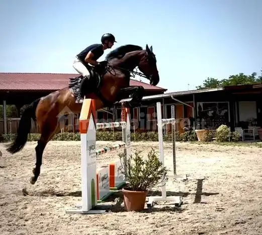 Trilocale via Roma, Italia, Castelvetere sul Calore - foto 3