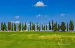 Villa in vendita a Borgo San Lorenzo