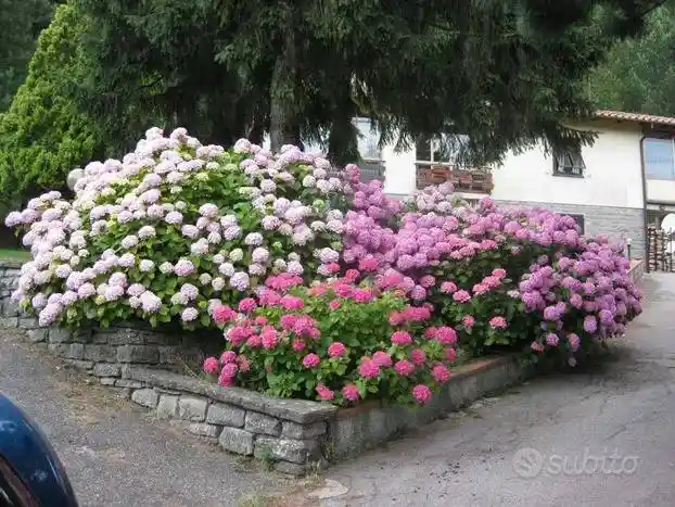 Villa in vendita a Scarperia e San Piero