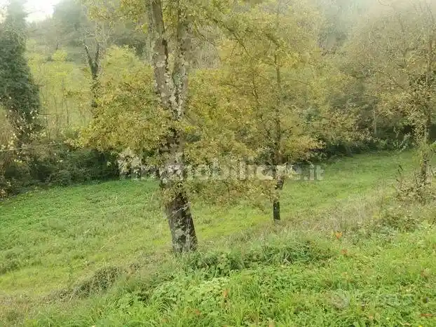 Appartamento in vendita a Borgo San Lorenzo
