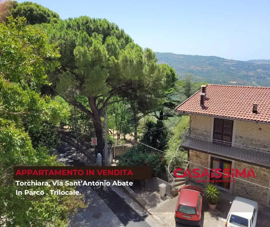 Appartamento in vendita a Torchiara