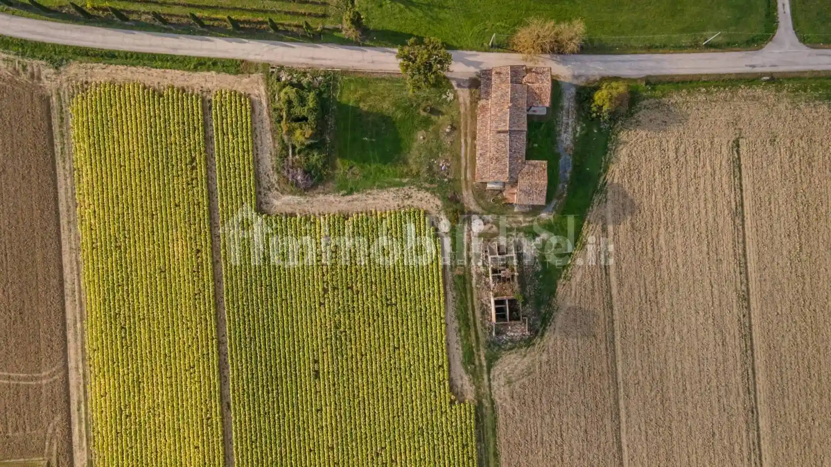 Villa unifamiliare via Cristoforo Colombo, Citerna - foto 3