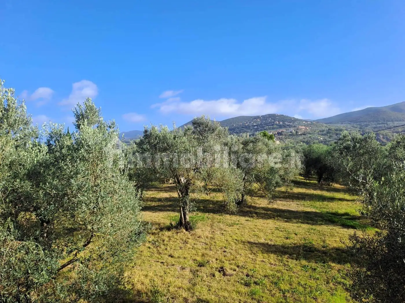 Casale Strada provinciale 30, Centro, Alviano - foto 5