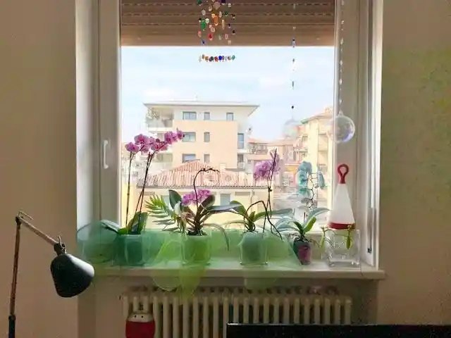 Trilocale via Ippolito Pindemonte, Pindemonte, Verona - foto 4