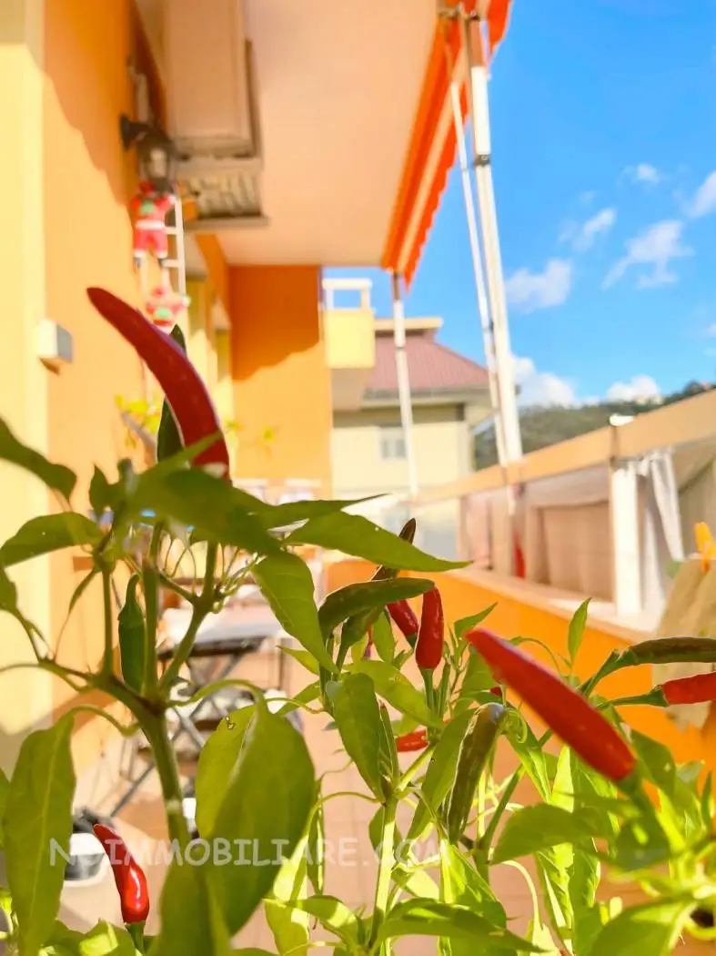 Appartamento in vendita a Casarza Ligure