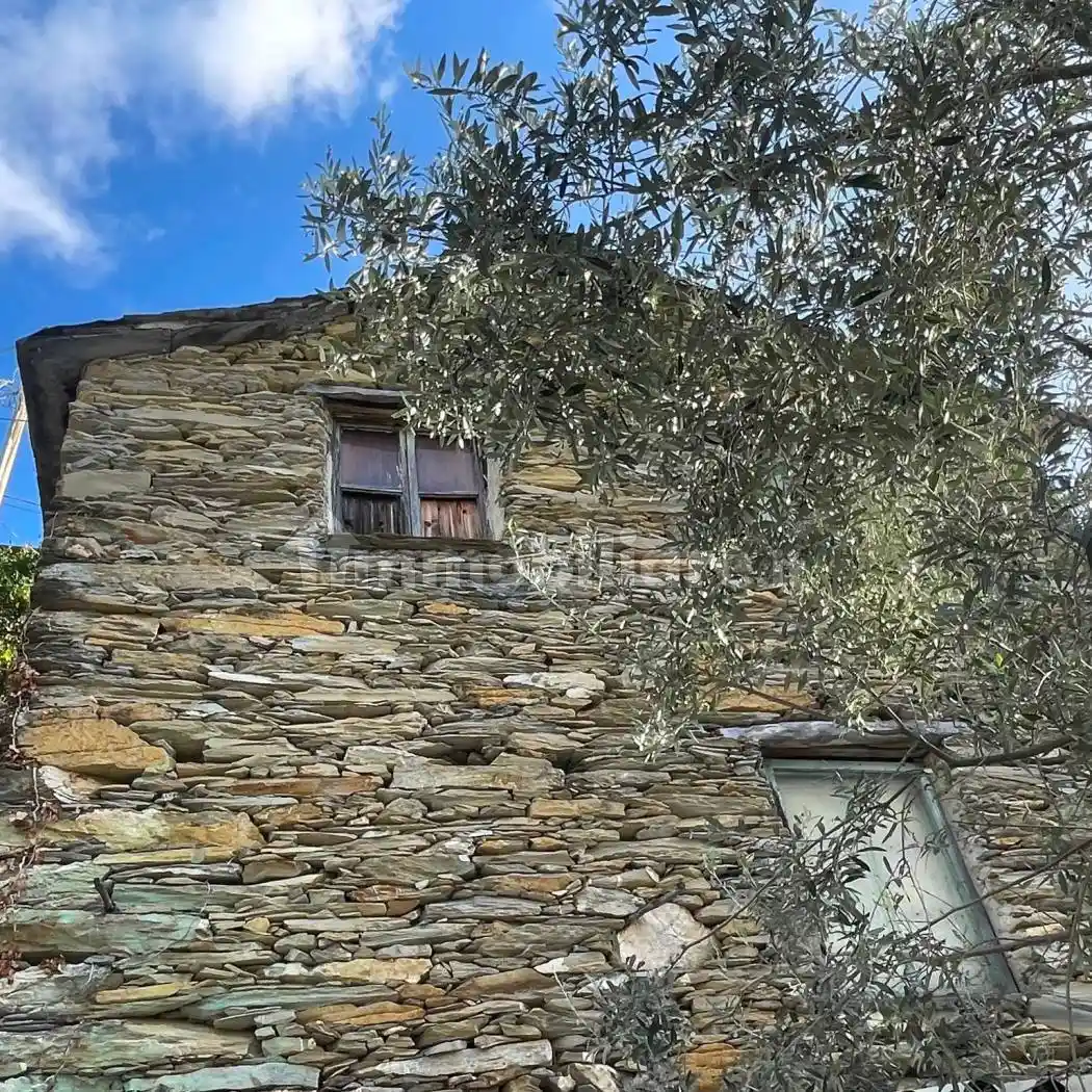 Casale Passo Sepozzo Inferiore, Testana, Avegno - foto 3