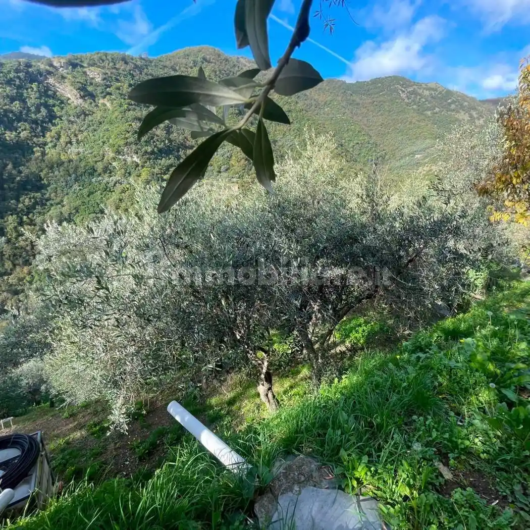 Casale Passo Sepozzo Inferiore, Testana, Avegno - foto 5