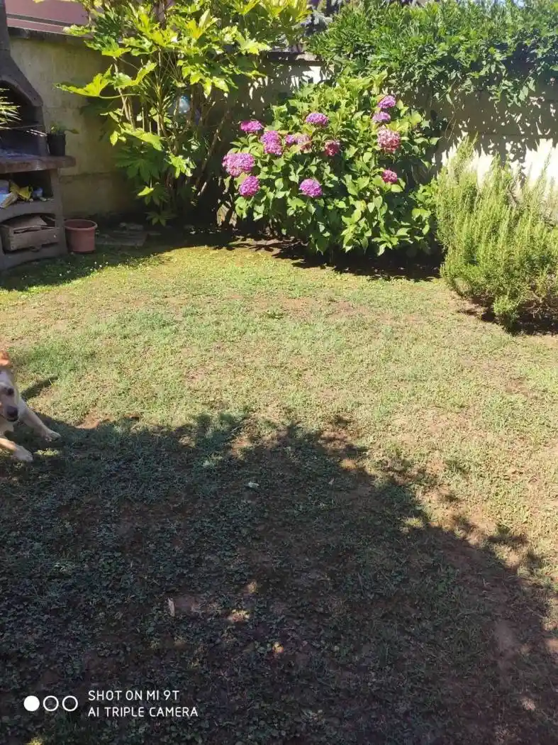 Appartamento in vendita a Aulla