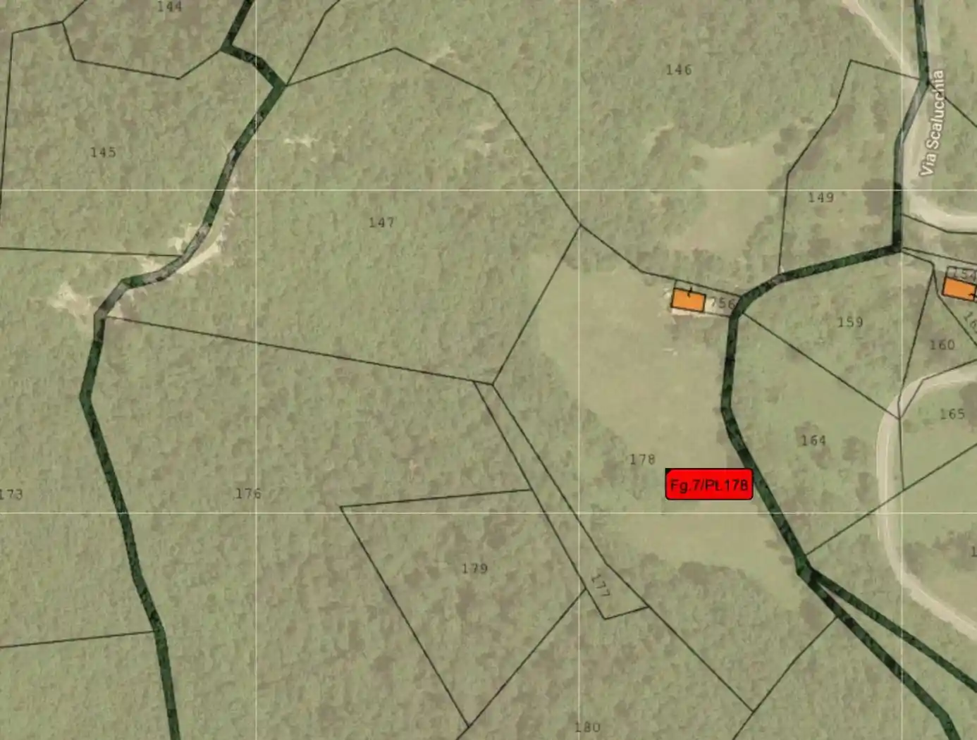 Palazzo - Edificio - foto 4