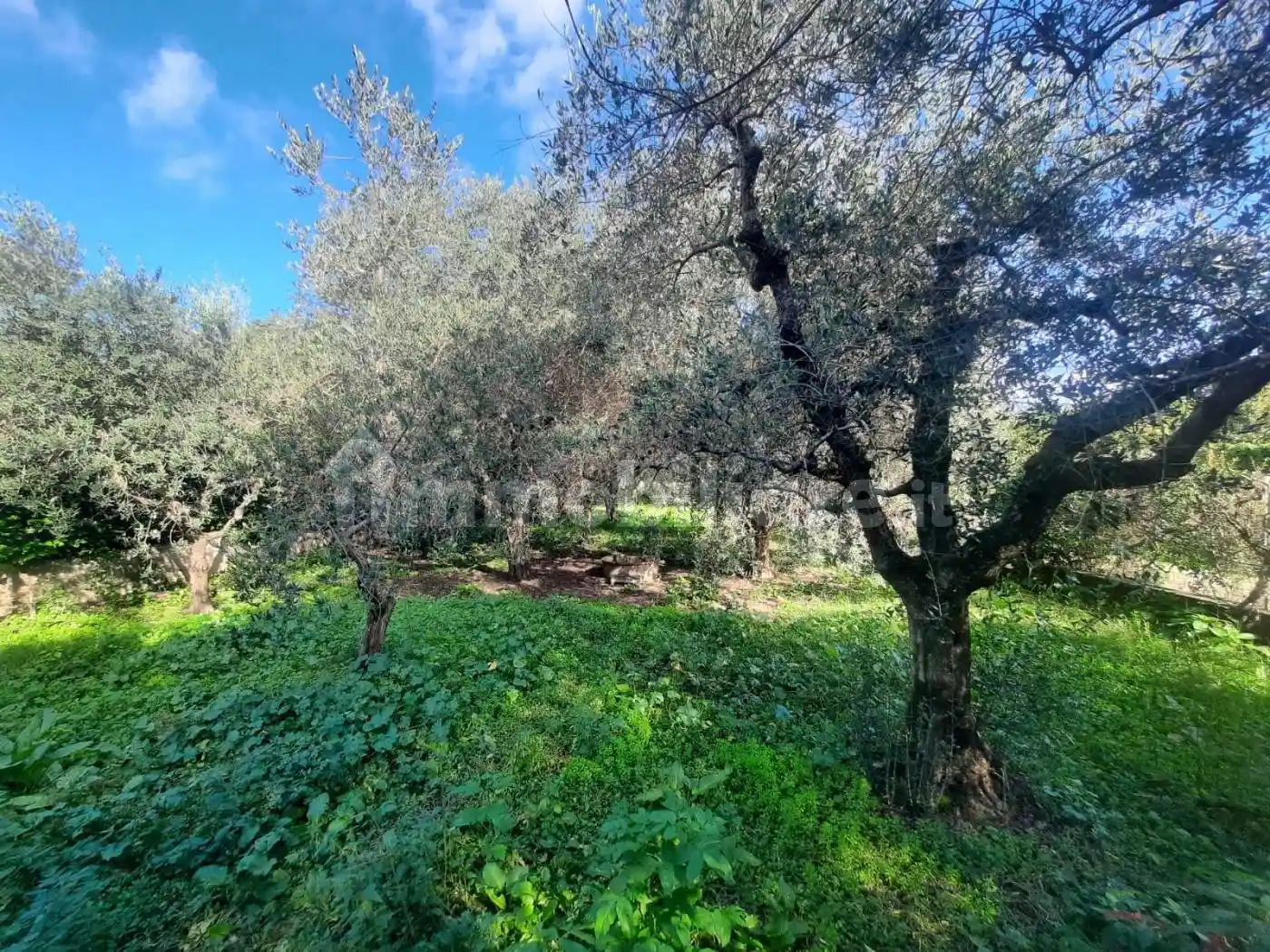 Villa unifamiliare via della Chiesa XXIX, San Pietro a Vico - San Cassiano, Lucca - foto 5