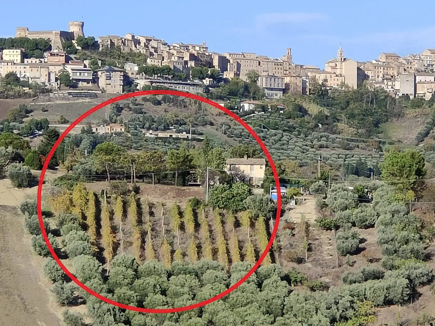 Casale Contrada Casarica 11, Acquaviva Picena - foto 2