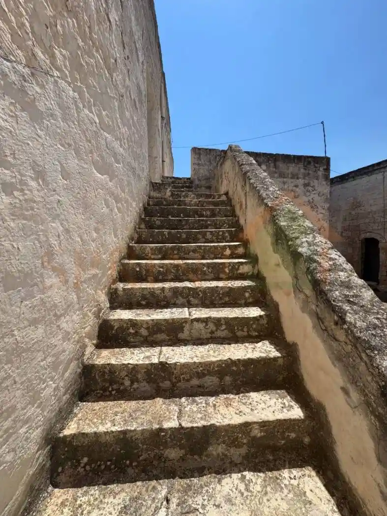 Masseria Contrada Ottava, Savelletri, Torre Canne, Fasano - foto 4
