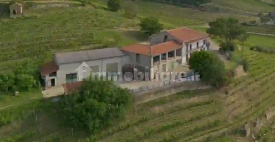 Casale regione Sorba 6, Cessole - foto 4