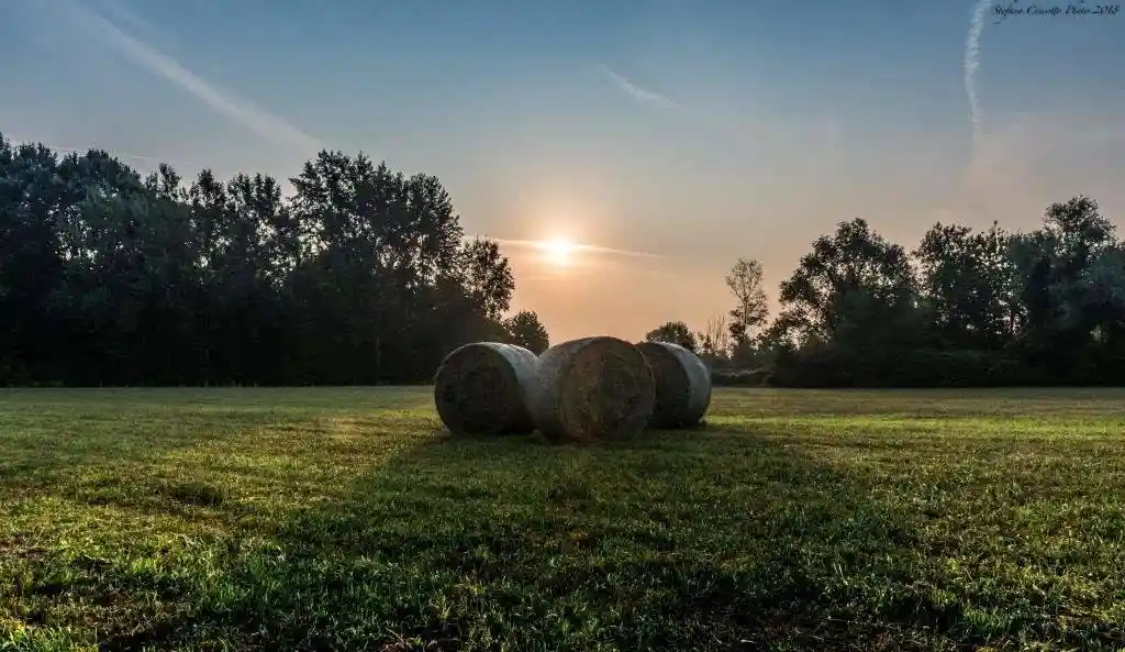 Villa unifamiliare, ottimo stato, 130 m², Trivignano - Gatta, Venezia - foto 2