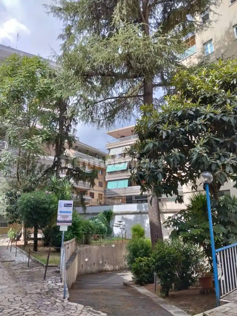 Quadrilocale piazza Irnerio, Baldo degli Ubaldi, Roma - foto 2