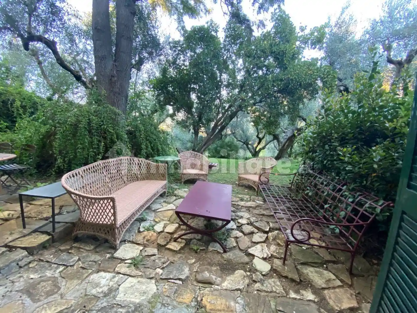 Casale Strada Provinciale Pescia Fiorentina, Capalbio - foto 3