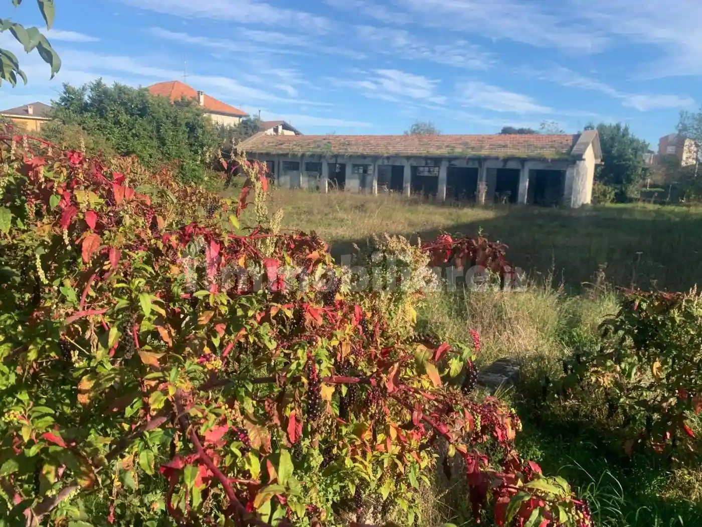 Palazzo - Edificio - foto 4