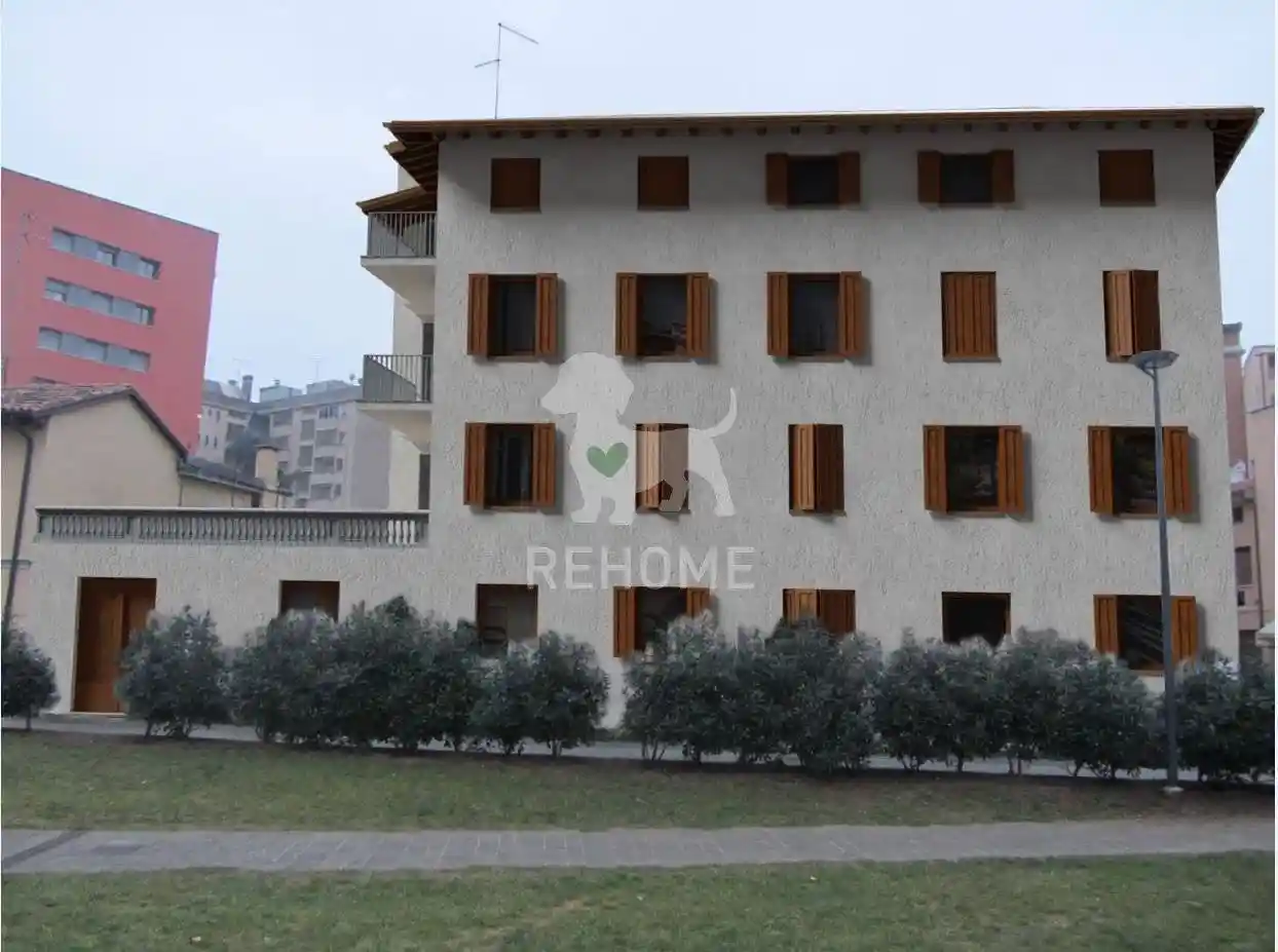 Palazzo - Edificio in Vendita - foto 3