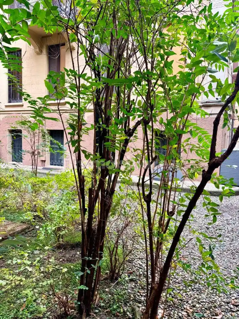 Trilocale via Eupili 4, Arco della Pace, Milano - foto 3