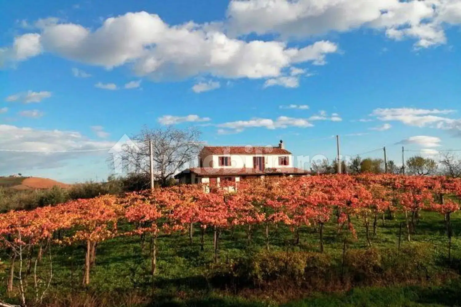 Villa in vendita a Loreto Aprutino