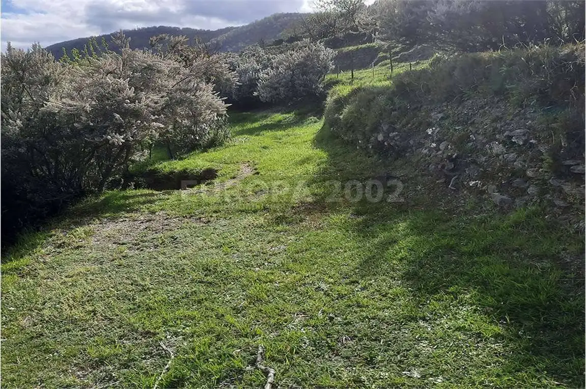 Rustico via san bernardo, Favale di Malvaro - foto 2