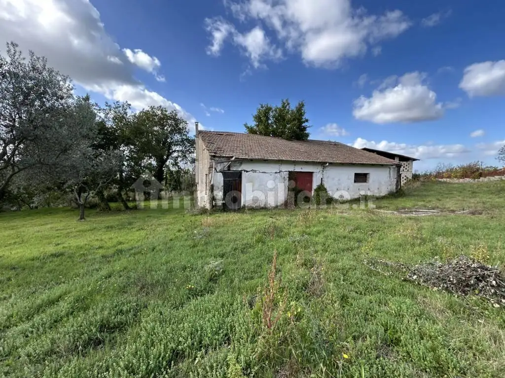 Rustico - Casale in vendita a Fontanarosa
