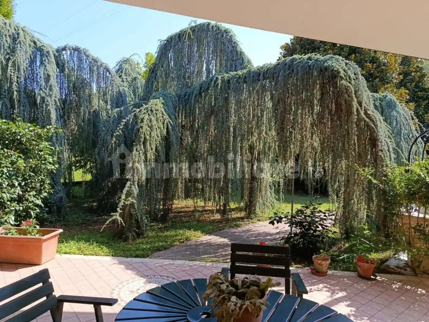 Villa unifamiliare via Vittorio Veneto, Villa del Conte - foto 5