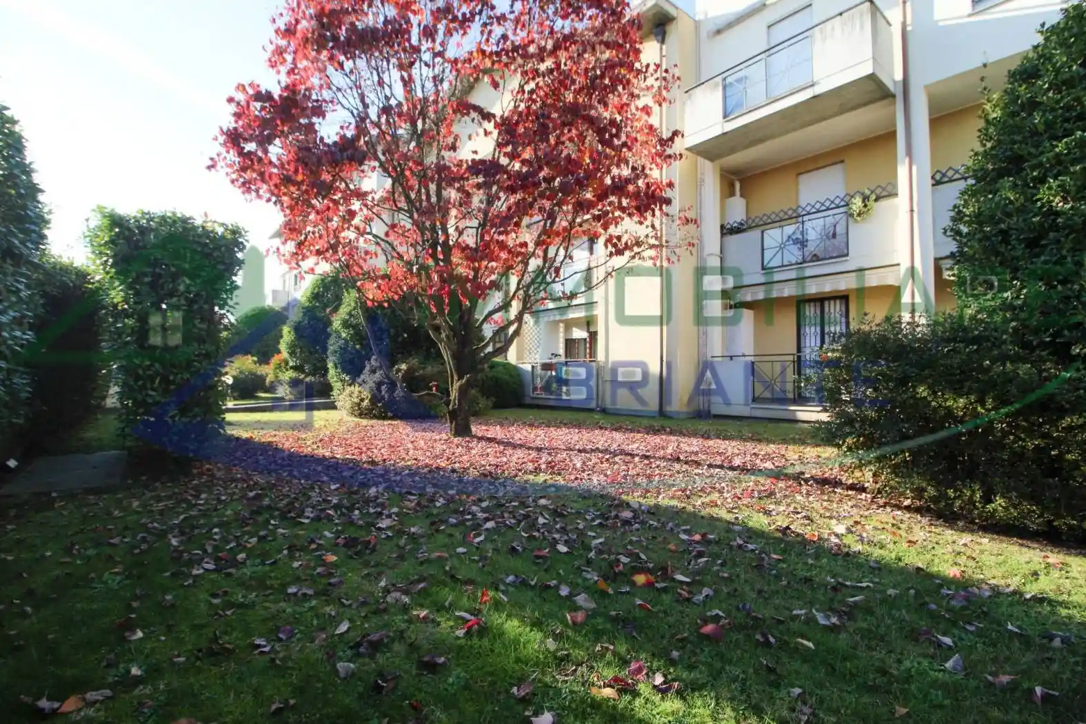 Bilocale via Udine, Cedrate, Gallarate - foto 3