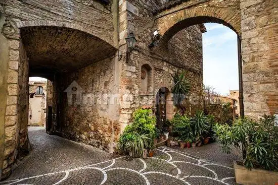 Bilocale via delle Mura, Centro, Bibbona - foto 4