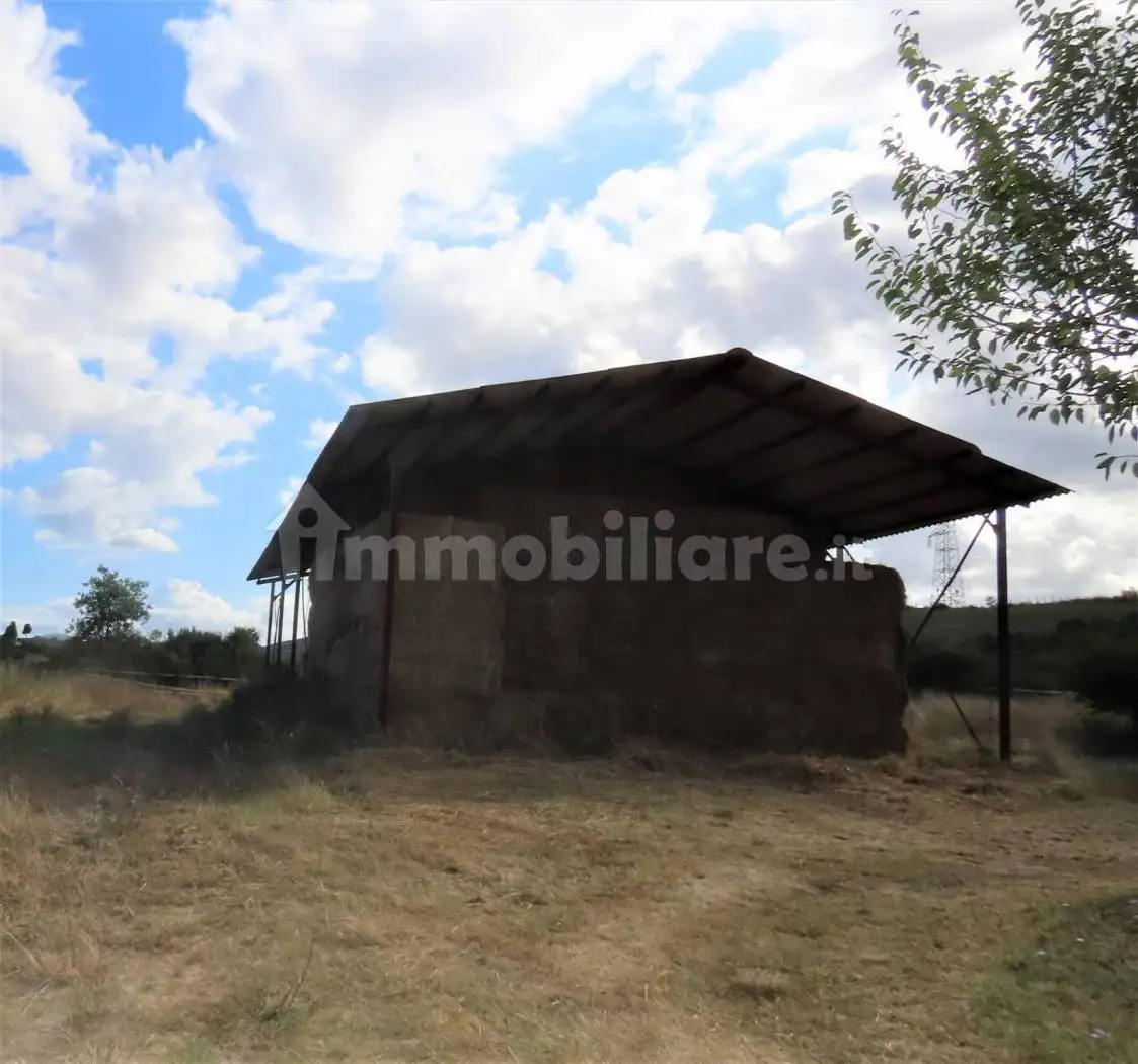 Rustico, da ristrutturare, 520 m², Castellina Marittima - foto 4