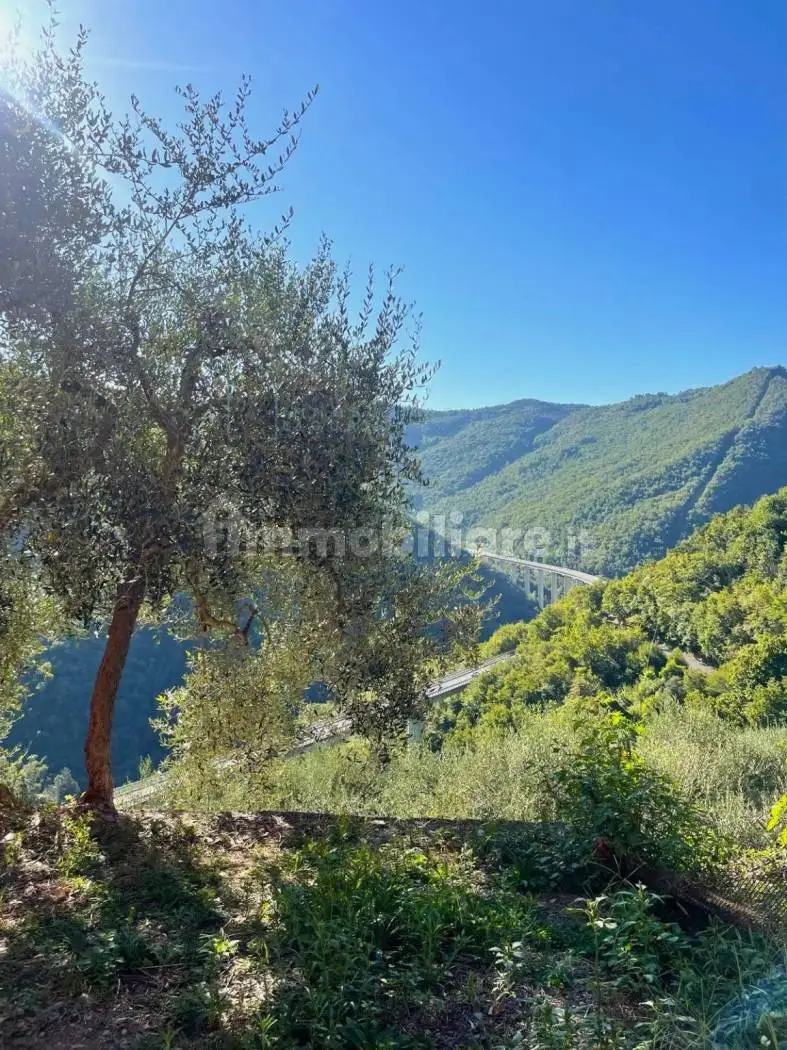 Rustico - Casale in vendita a Pieve di Teco